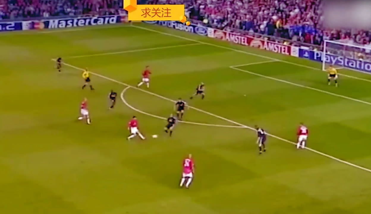 桌的内部人 桌的内部人